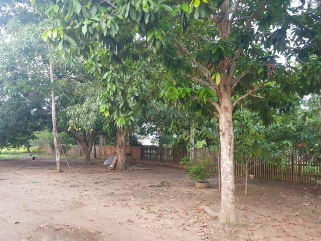 Chácara dentro da cidade - Foto 5