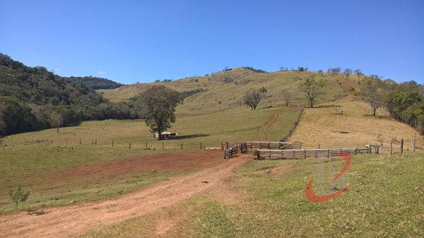 Rural fazenda com 4 quartos - Bairro Centro em Nova Tebas - Foto 4