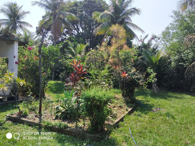 VENDE-SE EXCELENTE LOTE PRÓXIMO A DUTRA. - Foto 3
