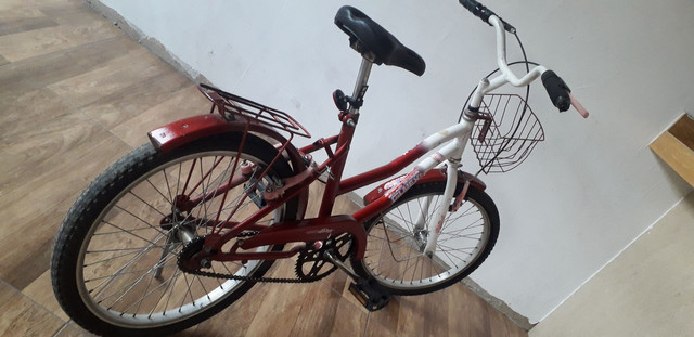 Bicicleta - Foto 2