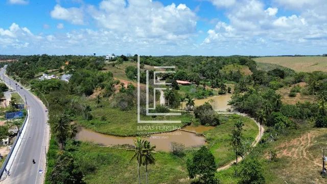 Belíssima fazenda com 67 hectares e casa sede de alto padrão em Paripueira-AL - Foto 4