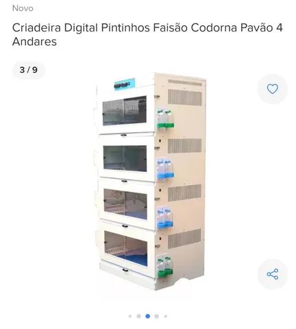 Pintinhos (Criadeira para pintinhos chocamaster) - Foto 3