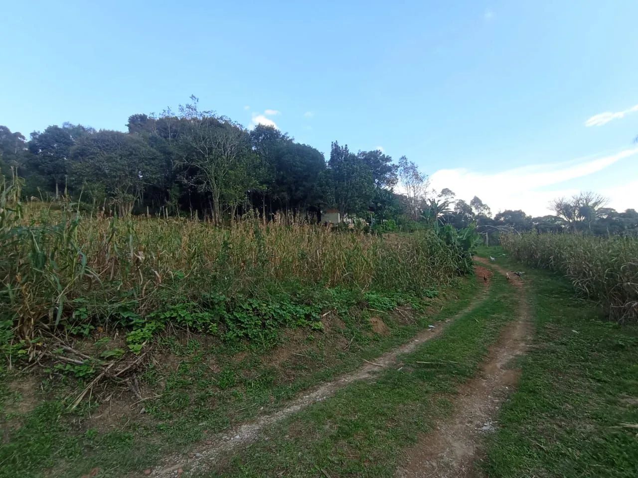 Chácara / troca - Foto 3