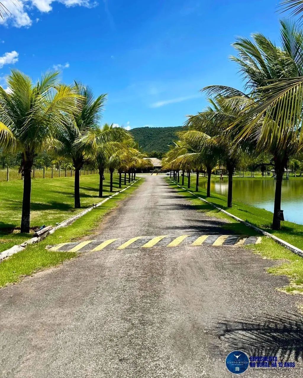 Fazenda à venda em Minaçu Goiás, 660 Alqueires - Foto 2