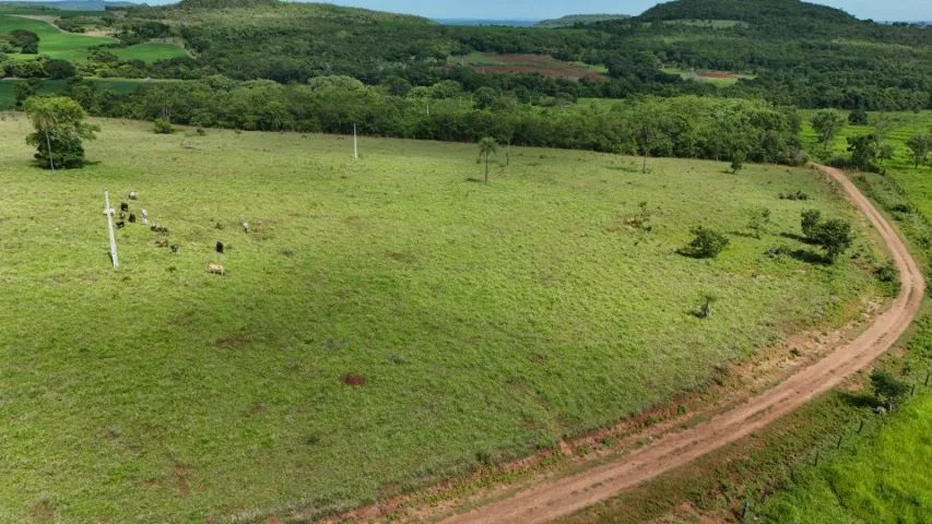 Chácaras a partir de 02 Hectares Próximo de Campo Grande!  - Foto 2