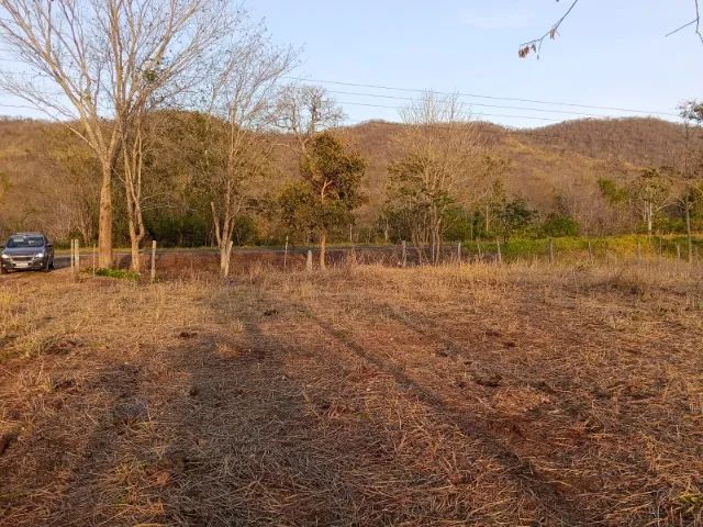 VENDO AREA 2HECTARES EM BODOQUENA MS  - Foto 4