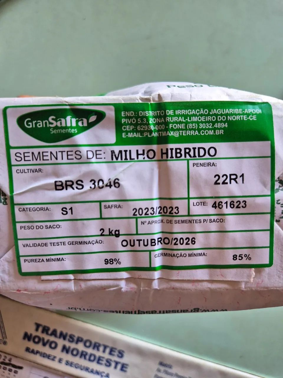 Semente de Milho - Foto 2