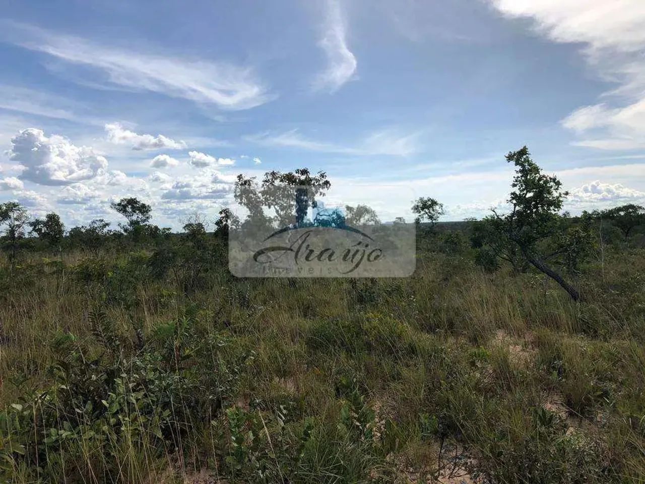Fazenda com 3 dorms, Setor Central, Lizarda - R$ 15 mi, Cod: 1581 - Foto 4