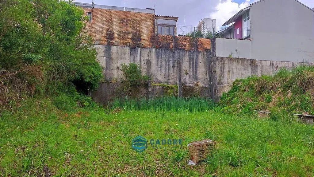Terreno no Cristo Redentor - Foto 4