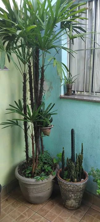 Vaso valor de desapego