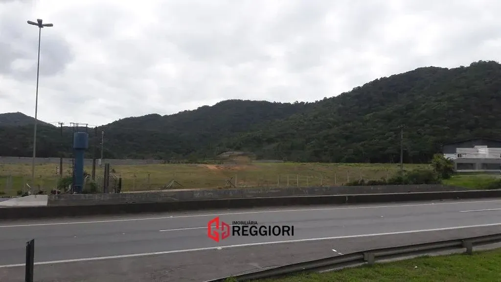 TERRENO COM 40.000m² NA BR 101 BALNEARIO CAMBORIU