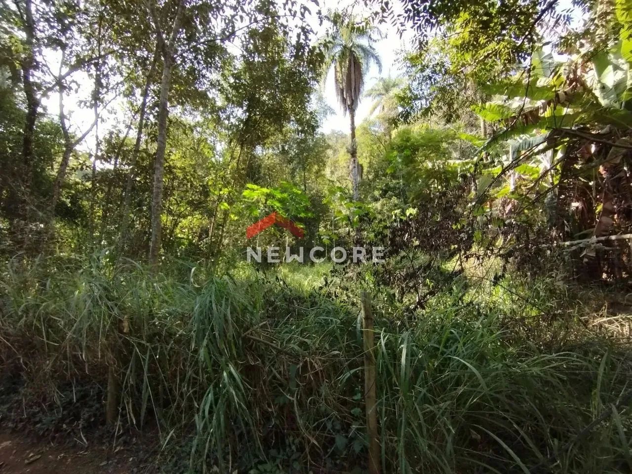 Lote em condomínio em Alameda dos Flamboyants - Condomínio Nossa Fazenda - Esmeraldas/MG - Foto 2