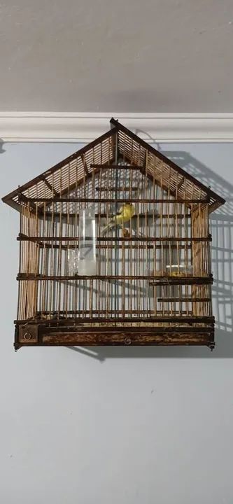 Gaiola de madeira para pássaros