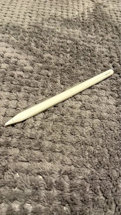 Apple Pencil 2ª Geração