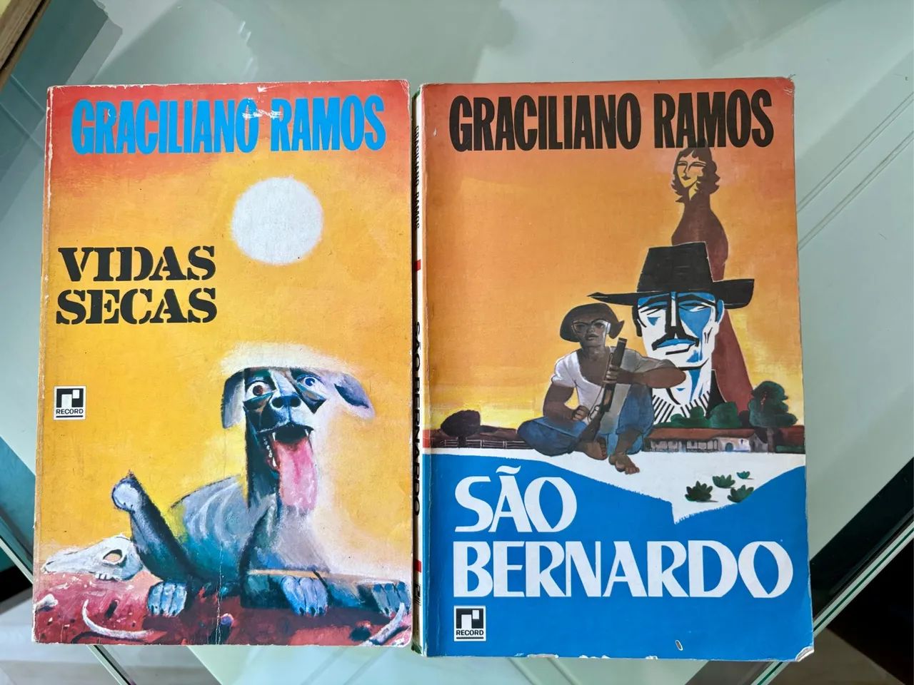 livro Vidas Secas 