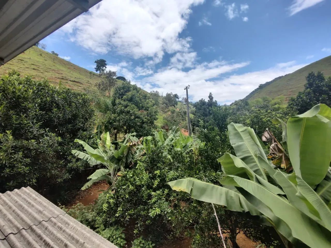 Sítio em Pedra Mulata, Viana. - Foto 12