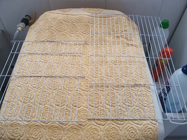 Gaiola para roedores - Foto 6