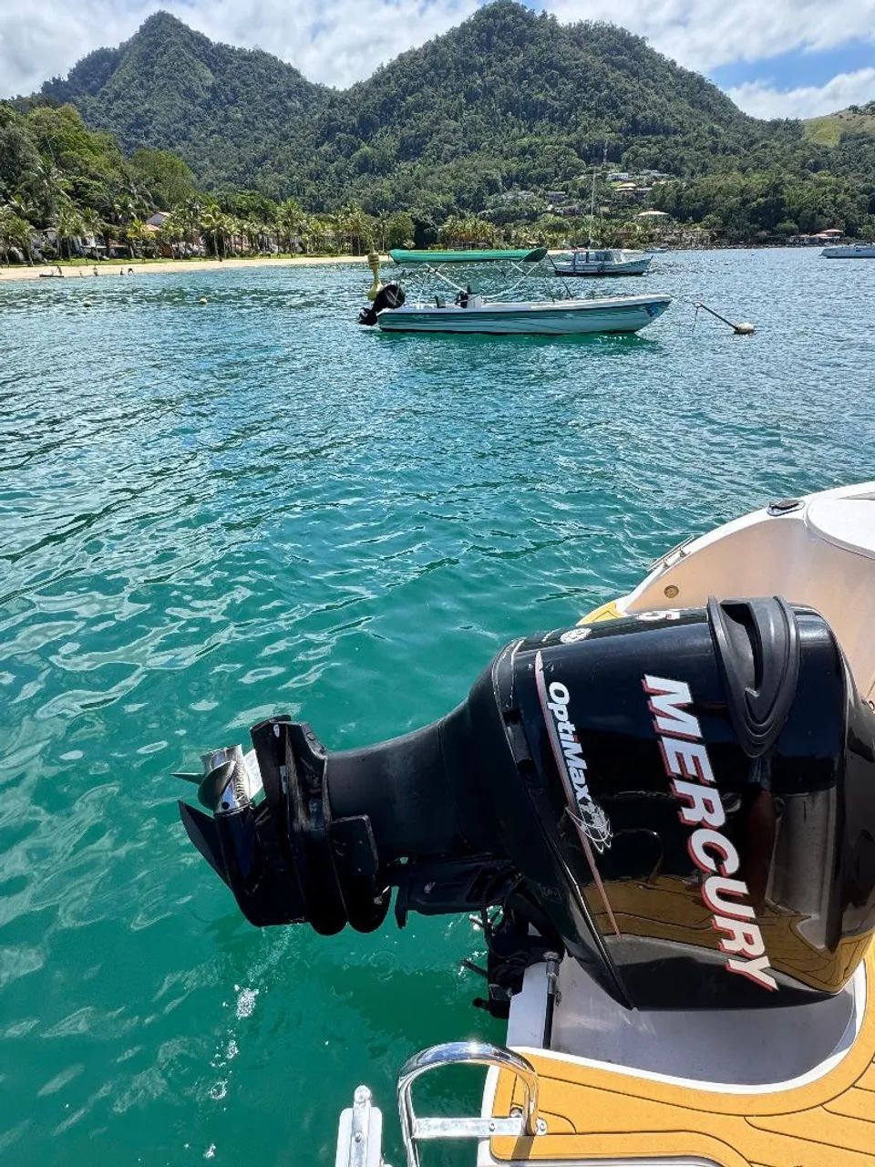 MOTOR NAUTICO OPTMAX 225 - Foto 6