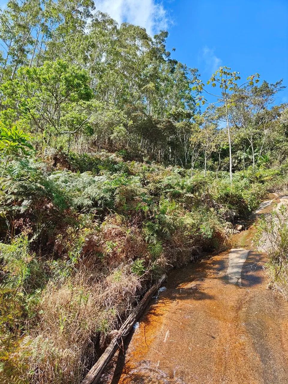 Sítio nas Montanhas 22.000m² - Foto 5