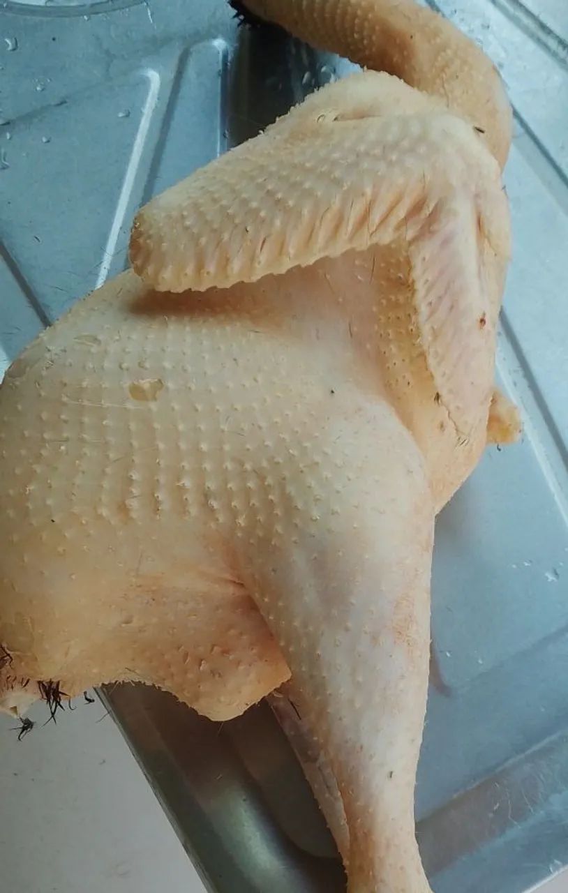 Galinhas caipira abatidaa