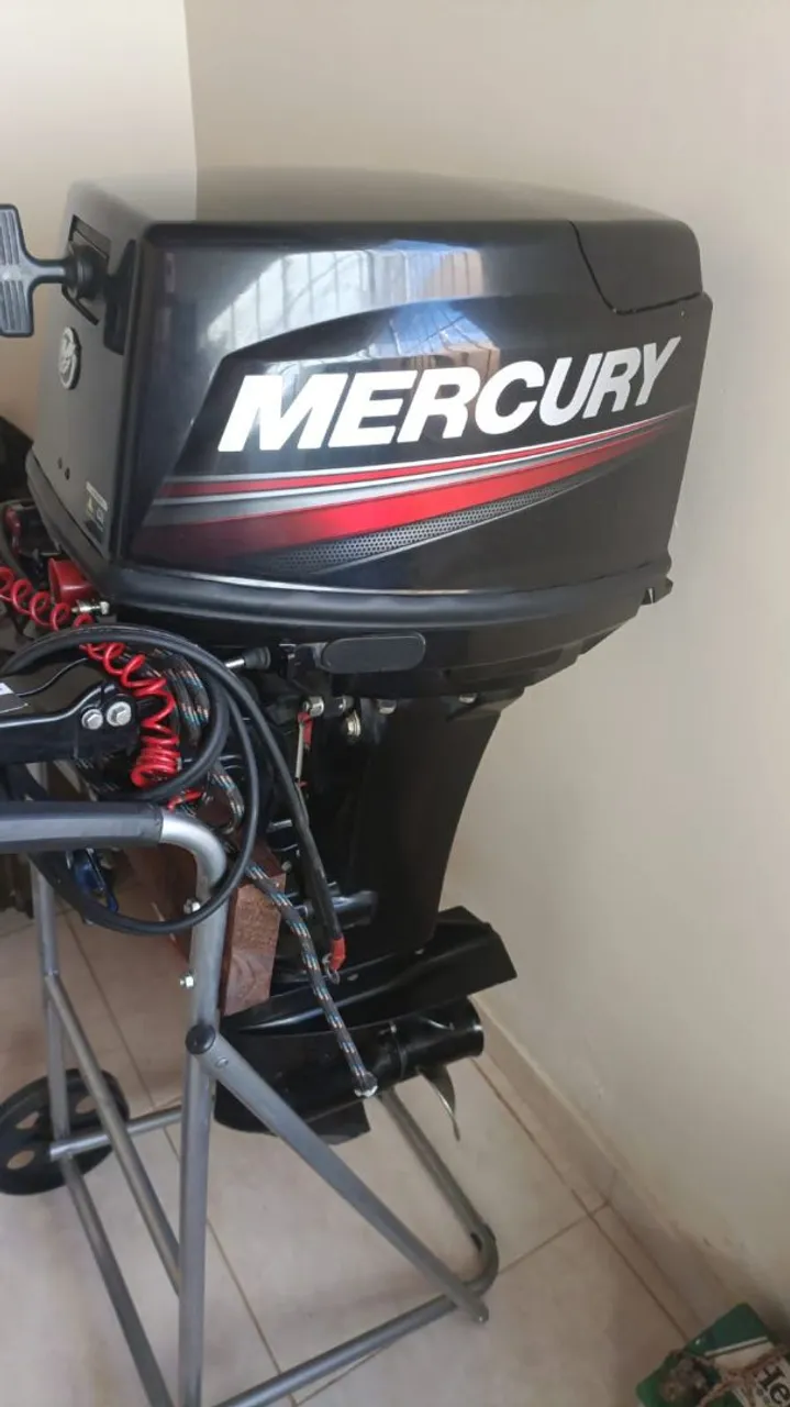 MOTOR 30 HP mercury