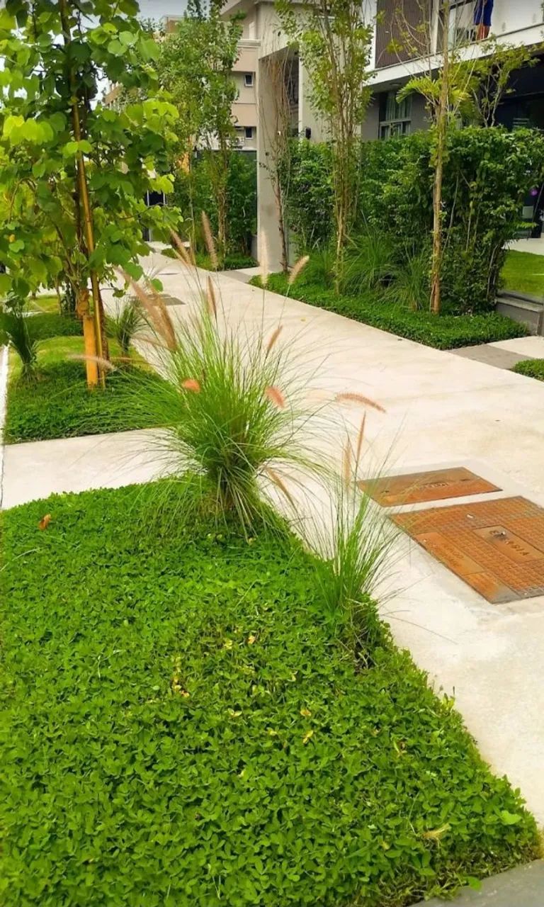 Jardineiro em Florianópolis  - Foto 2