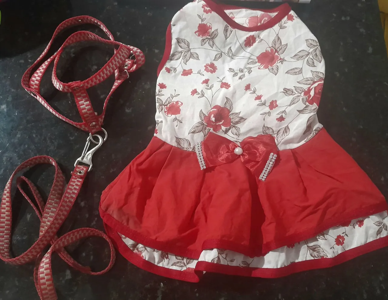 Vestido para Cachorra com Coleira