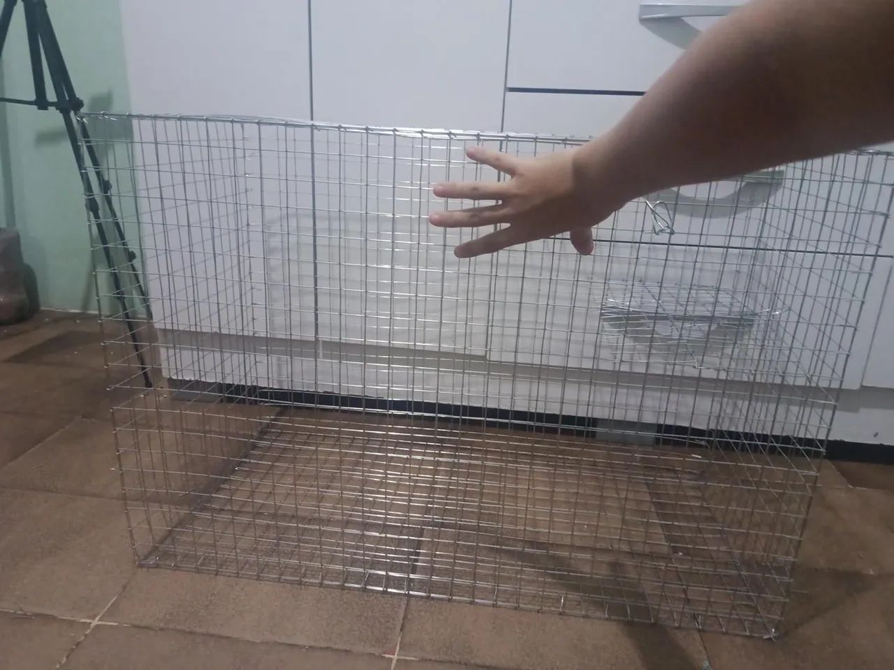Gaiola de reprodução  - Foto 3