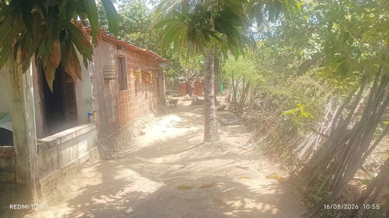 Venda - Foto 4