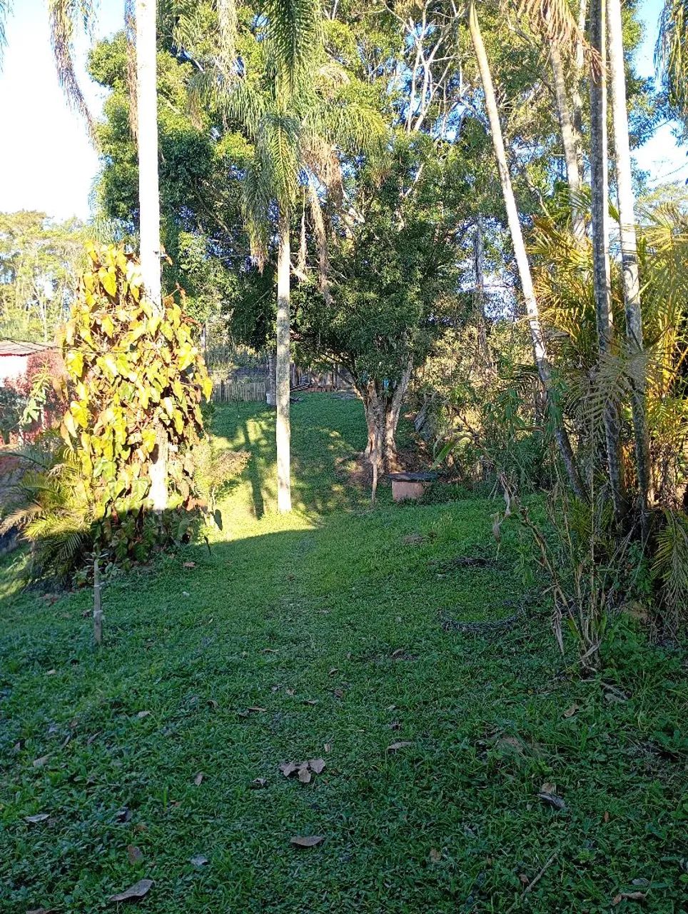 Chácara reiacho grande pós balsa  - Foto 4