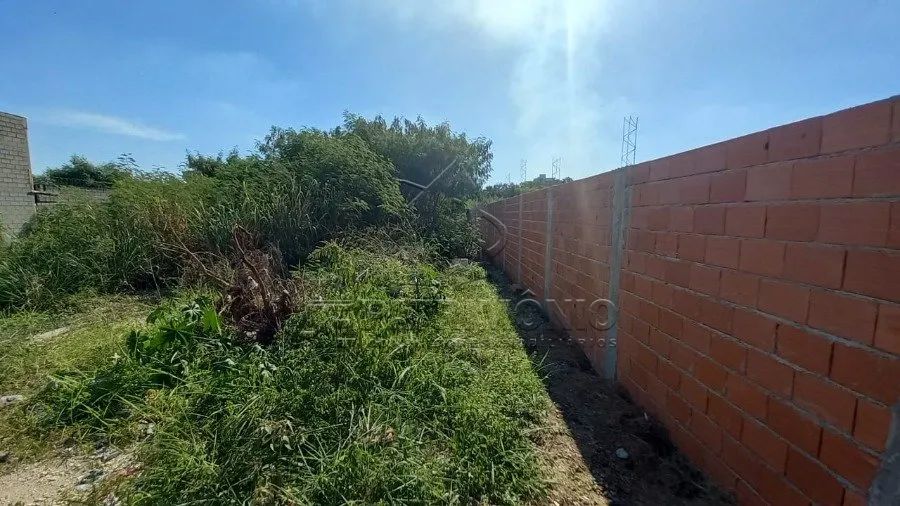 TERRENO NO ALÉM PONTE - Foto 5