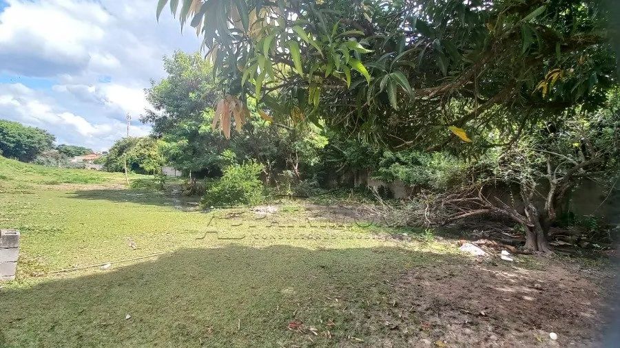 TERRENO VILA HARO - Foto 4