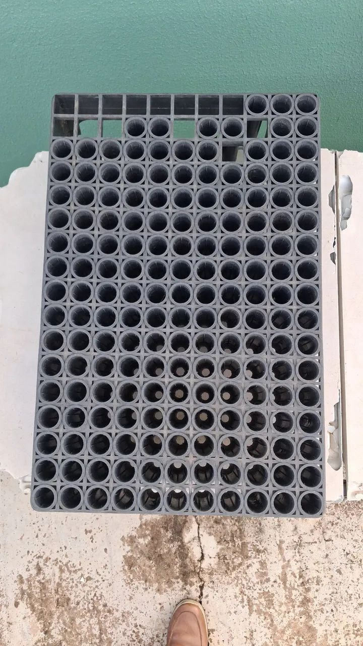 Tubetes para mudas 55ml 187 células. - Foto 4