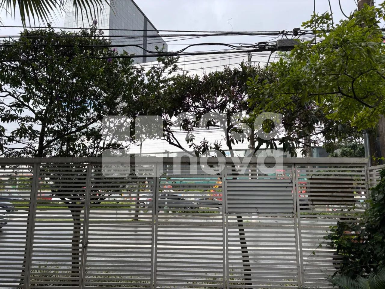 Comercial, Tucuruvi - São Paulo - Foto 4