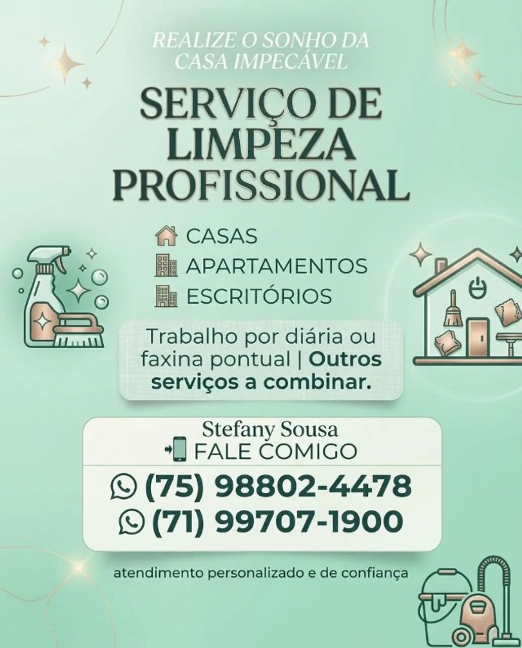 Limpeza Profissional 