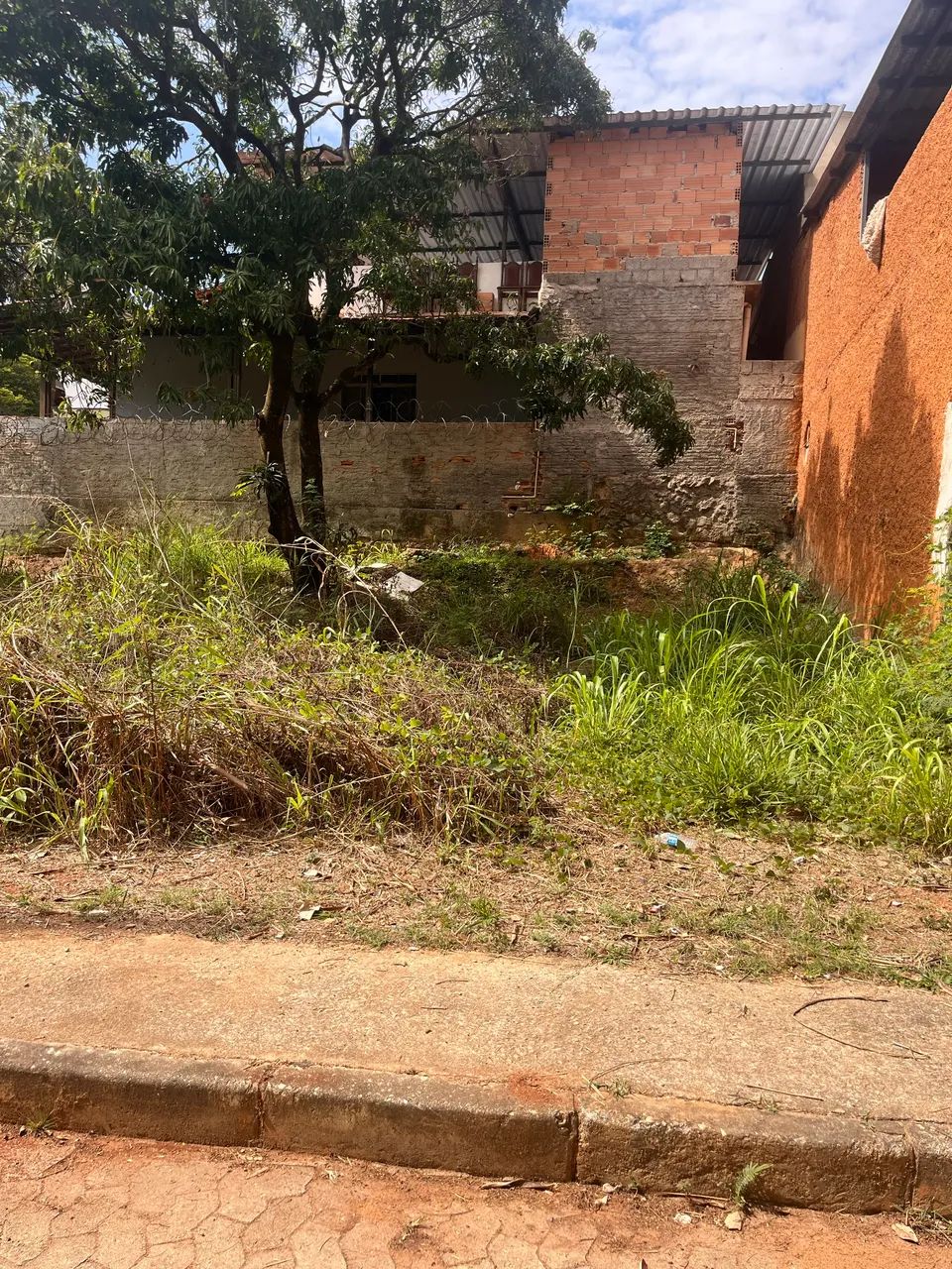 Lote no campo alegre - Foto 3