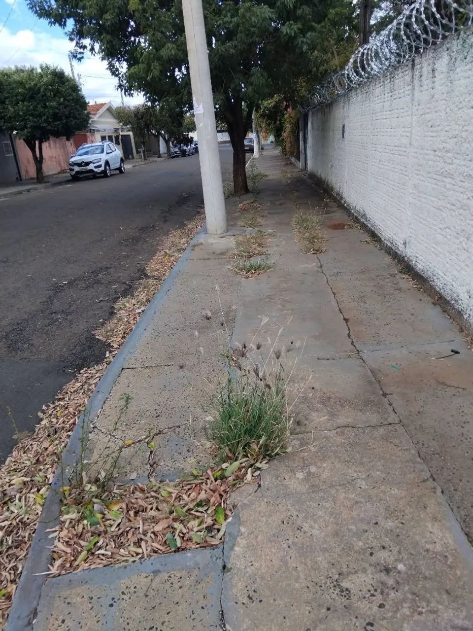 Faço serviço de jardinagem  - Foto 3