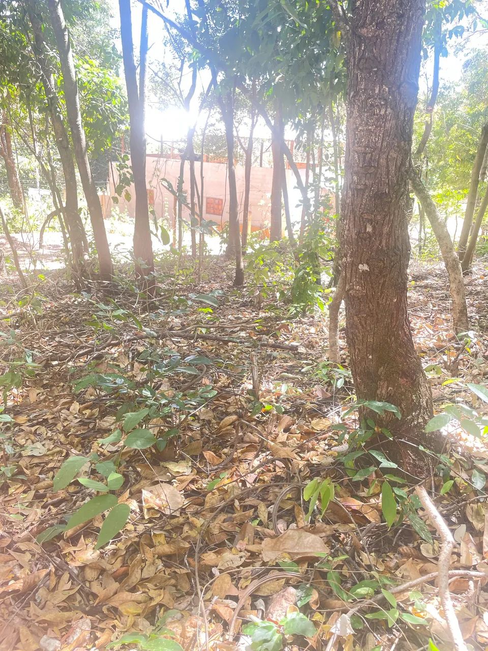 Vendo terreno - Foto 4