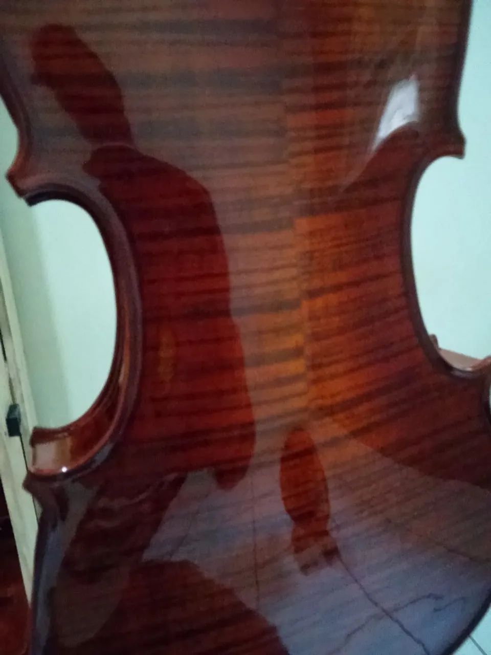 Violino eagle  - Foto 2