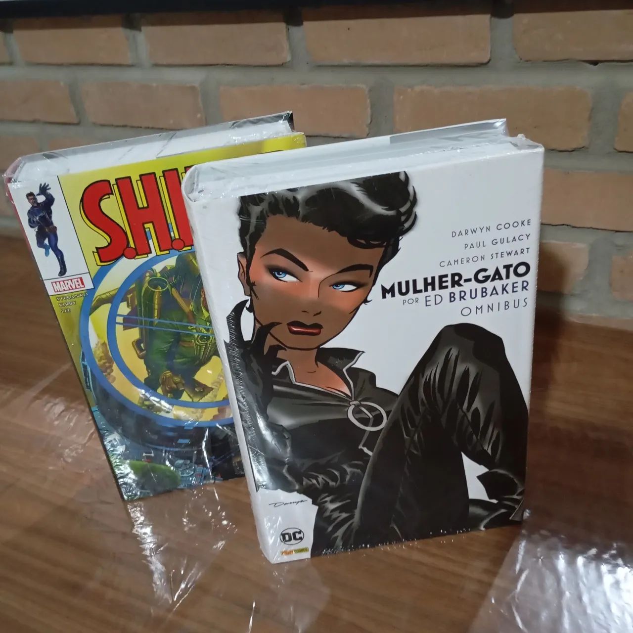 Mulher gato e SHIELDS 