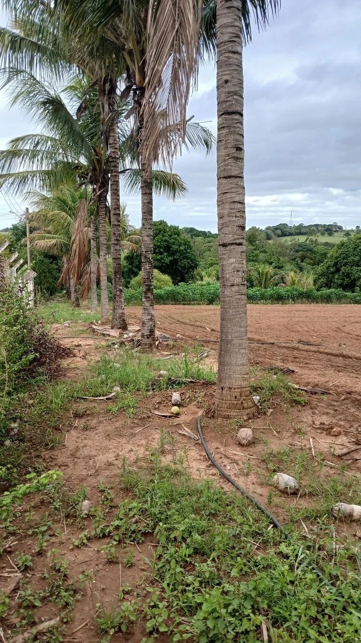 Lote para Chácara  - Foto 2