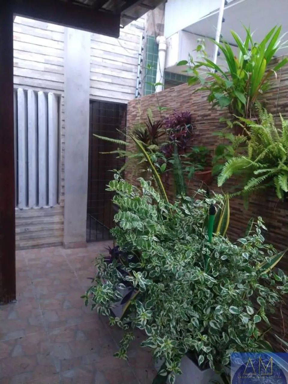 Casa à Venda em Tamarineira - Foto 3