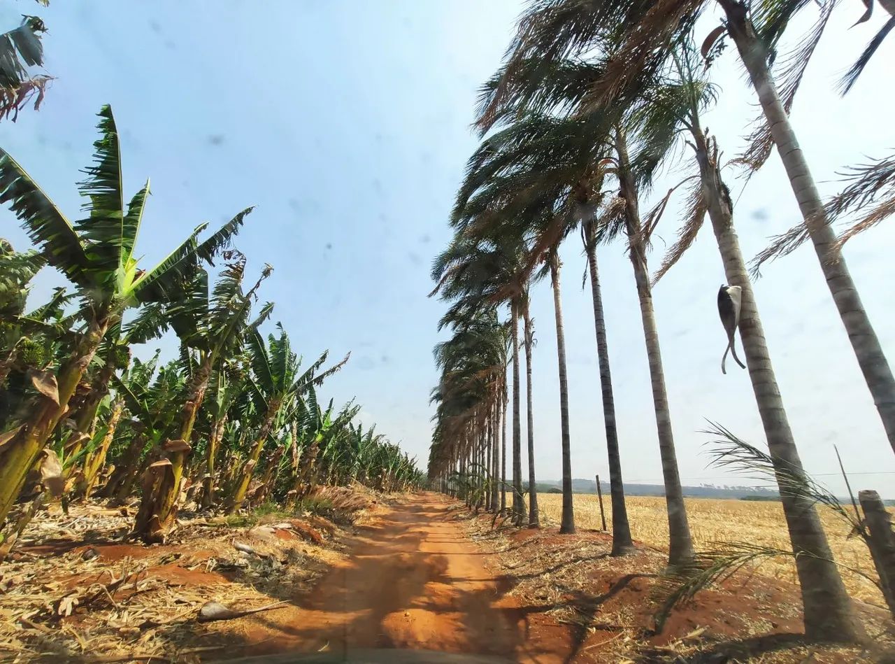 Excelente oportunidade!! Vendo a melhor chácara da região do pipiripau 2. - Foto 4