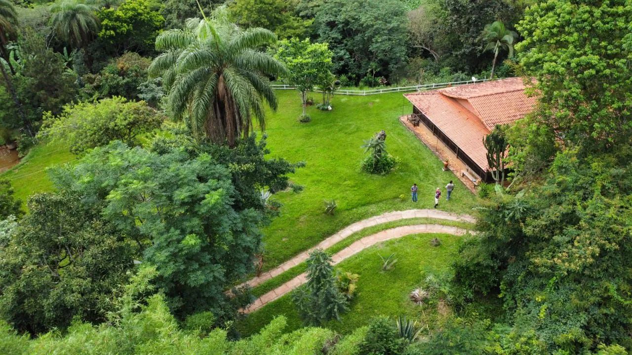 SÍTIO EM VIEIRAS COM ÁGUA EM ABUNDÂNCIA. - Foto 4