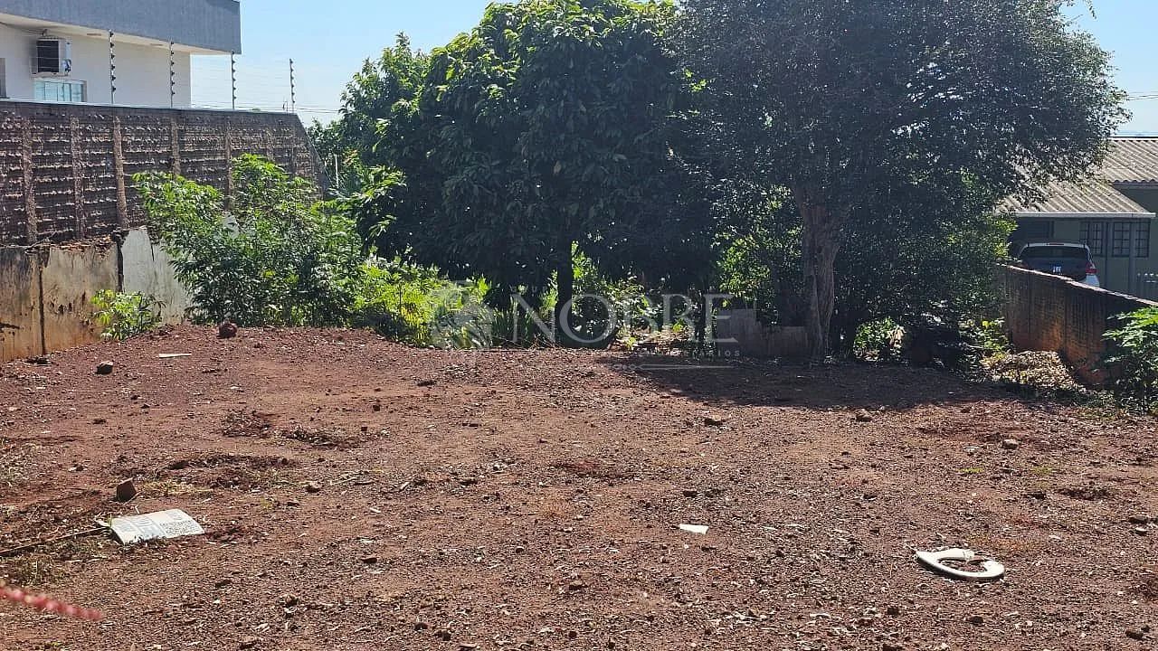 Terreno Rua Quito - Vila Morangueira - Foto 4