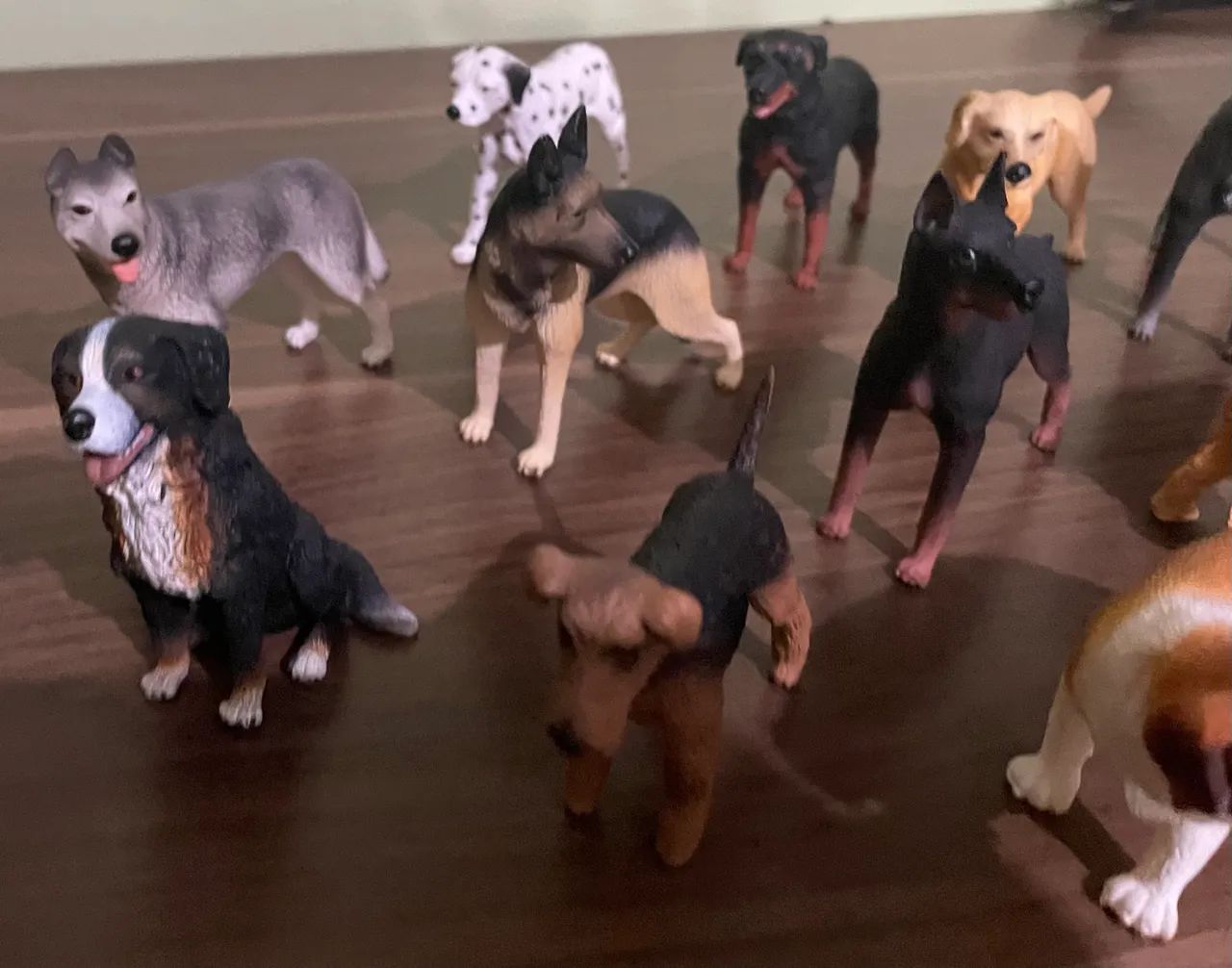 Coleção cachorros super notícia  - Foto 5