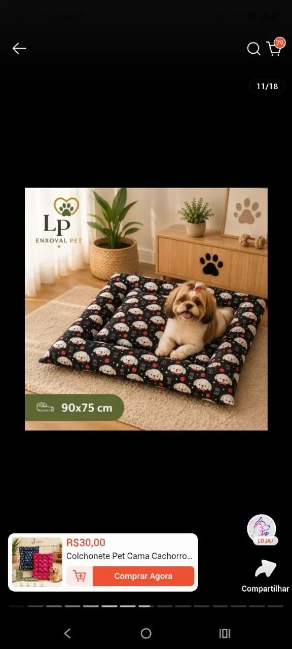 Caminha para pet