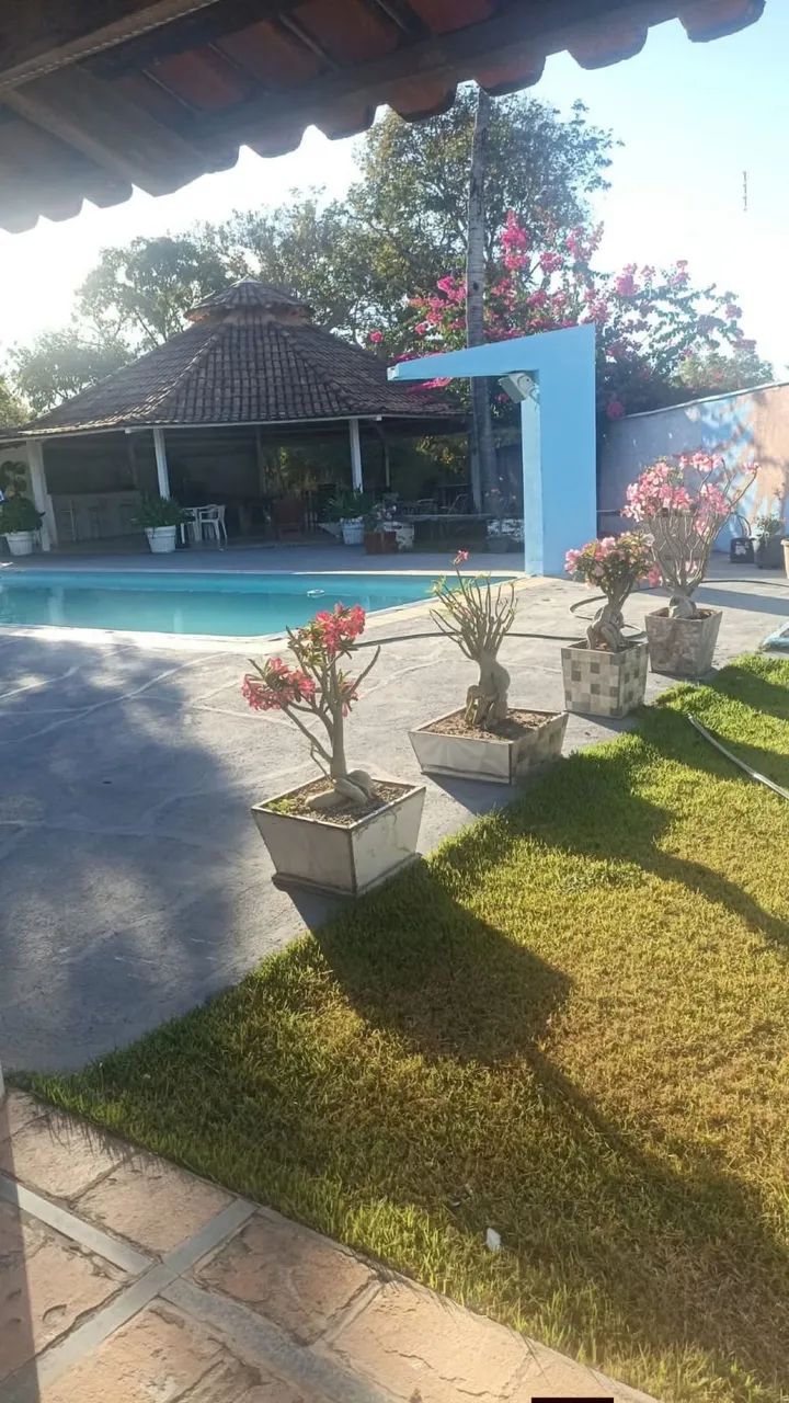Temporada Aruana  - Foto 4