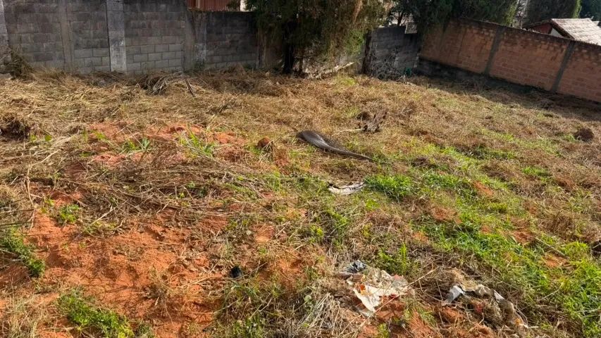 Lote em excelente região da Pampulha 455m2 469.000,00 - Foto 5
