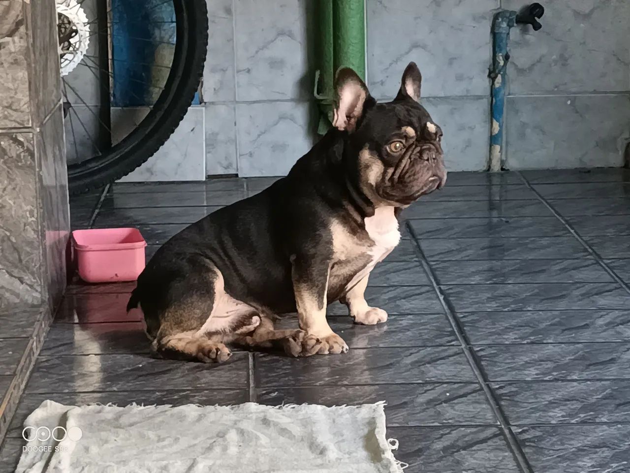 Disponível para cobertura  - Foto 2